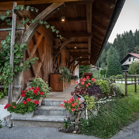 Hisa Martin Holiday home Grosuplje